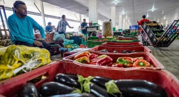 Batata, banana, laranja e melancia estão mais baratas, segundo a Conab